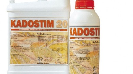 KADOSTIM 20