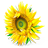 s3